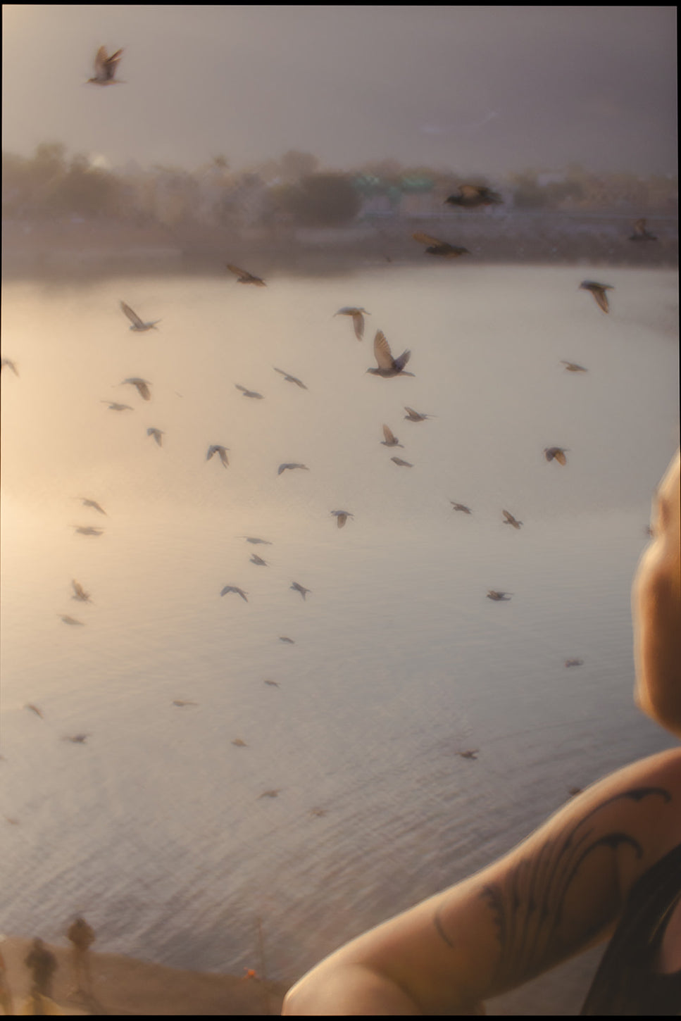 Person with a tattooed shoulder gazing at birds flying over a tranquil lake during sunset, capturing a peaceful sunset view and moment of reflection.