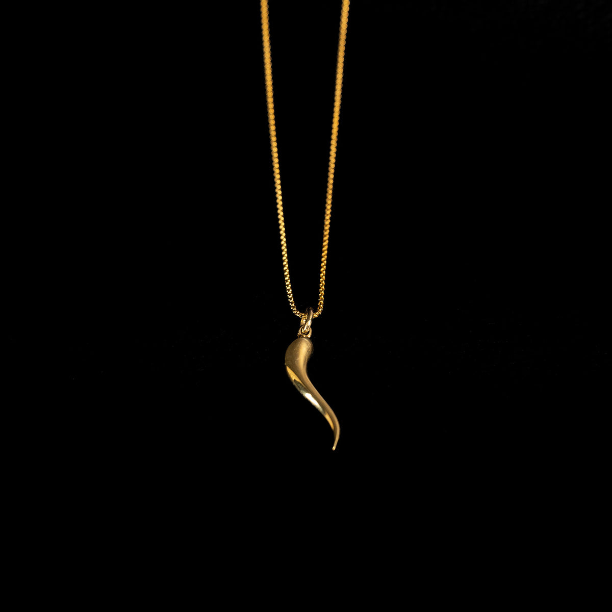 Cornicello | Pendant Necklace - Brass