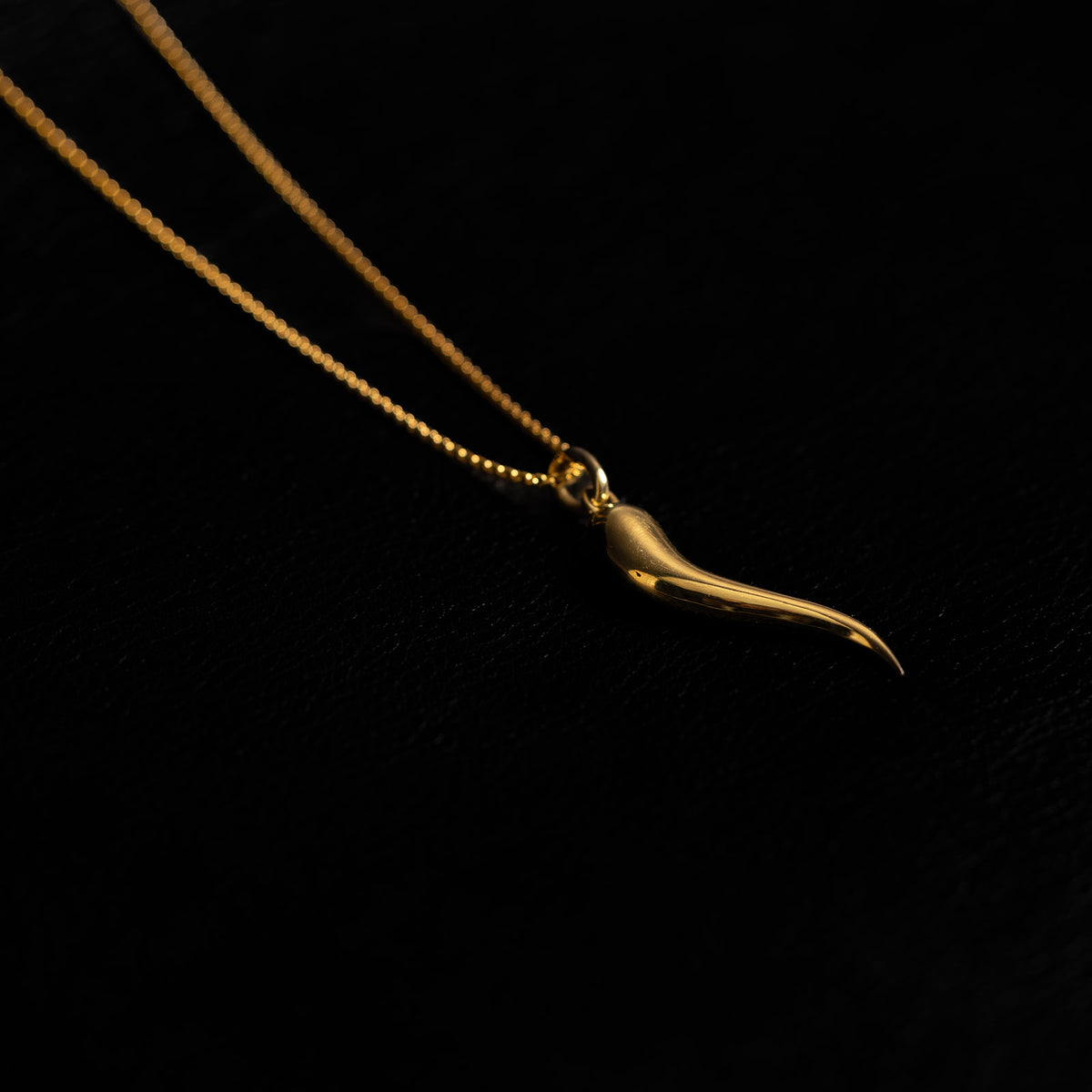 Cornicello | Pendant Necklace - Brass