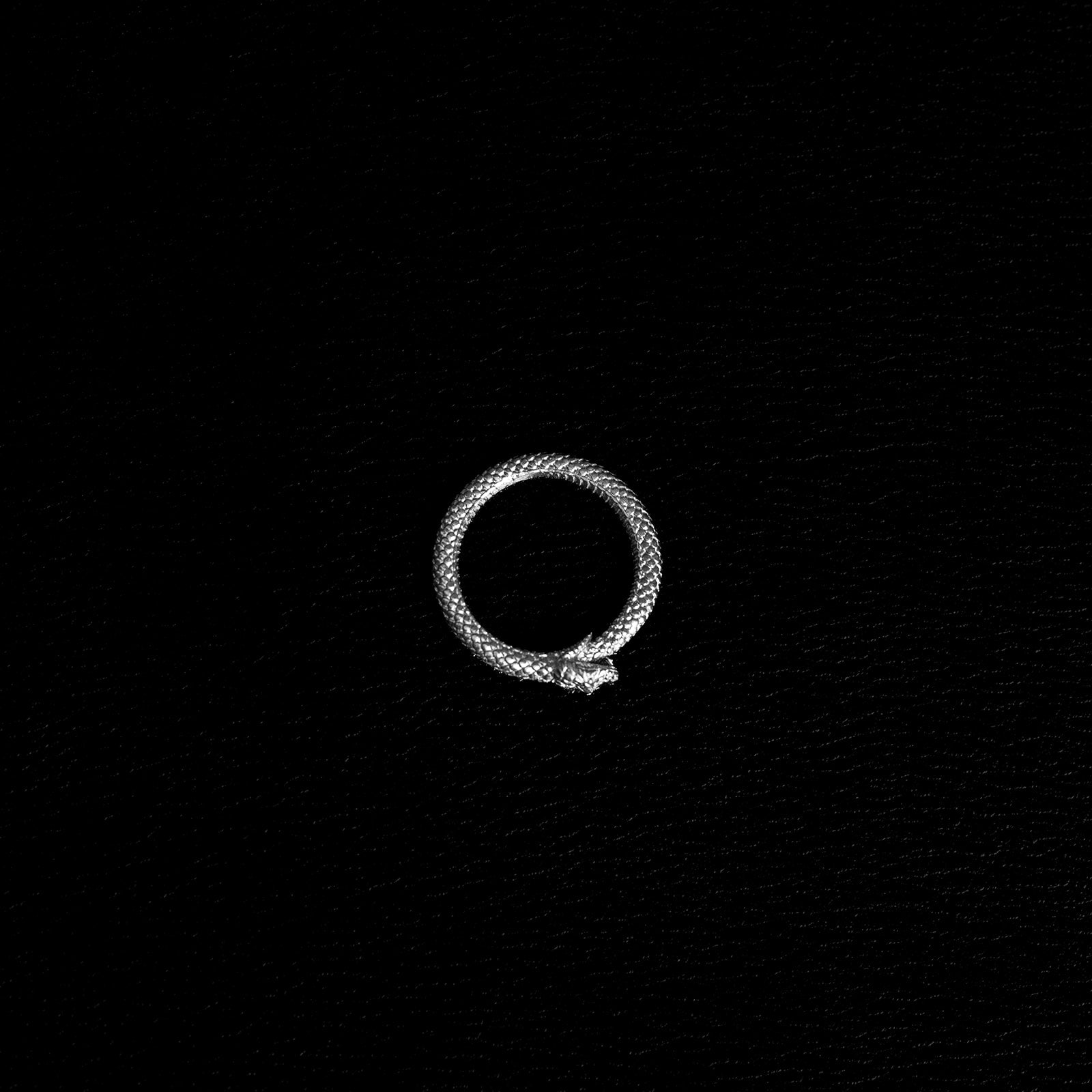 L'Ouroboros [S] | Bague - Argent 925